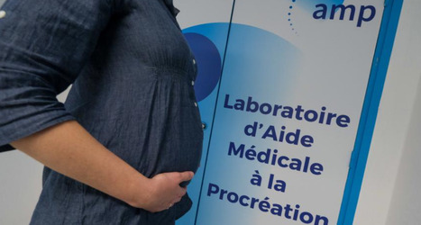 Congeler ses ovocytes : quand, o&ugrave;, comment ? | Bio&eacute;thique & Procr&eacute;ation | Scoop.it