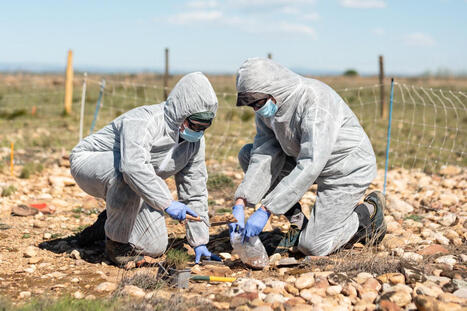 Des sols contamin&eacute;s par des armes et d&eacute;pollu&eacute;s par des plantes&nbsp;: le travail de chercheurs fran&ccedil;ais pourrait &ecirc;tre utilis&eacute; en zone de guerre | Geopolitics | Scoop.it