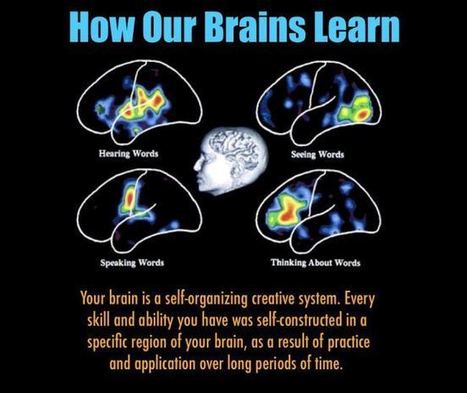 Understanding How Our Brains Learn | E-Learning-Inclusivo (Mashup) | Scoop.it