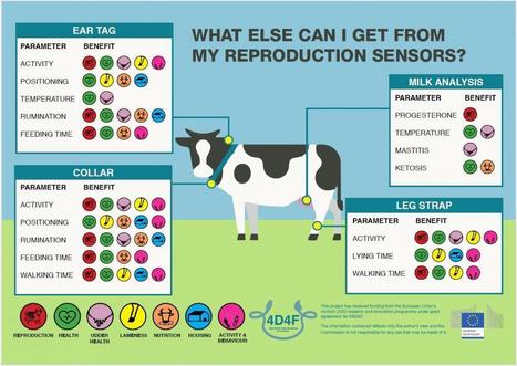 Reproduction: what else can i get from my reproduction sensors | 4D4F | Elevage et num&eacute;rique | Scoop.it