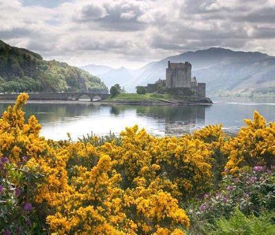 4600-yr-old pub found in Scotland | No Such Thing As The News | Scoop.it