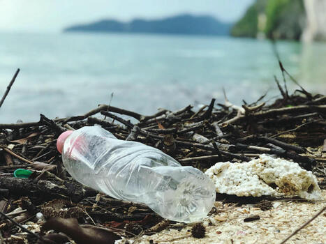 La journée mondiale de l’environnement consacrée à la pollution plastique | Planète DDurable | Scoop.it