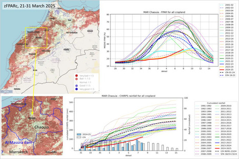 Severe drought for winter cereals in Morocco | MED-Amin network | Scoop.it