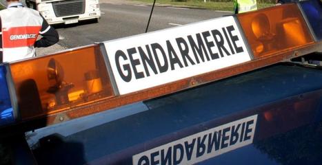 Un éleveur verbalisé 135 € par la gendarmerie pour le transport de cinq veaux dans un utilitaire | Actualité Bétail | Scoop.it