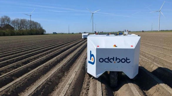 Le Maverick, un robot qui traque les adventices...