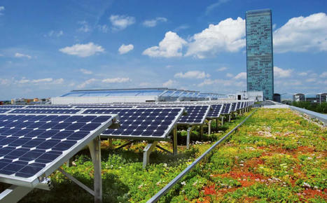 Ecovégétal combine toitures végétalisées et panneaux solaires | rev3 - la 3ème révolution industrielle en Hauts-de-France | Scoop.it