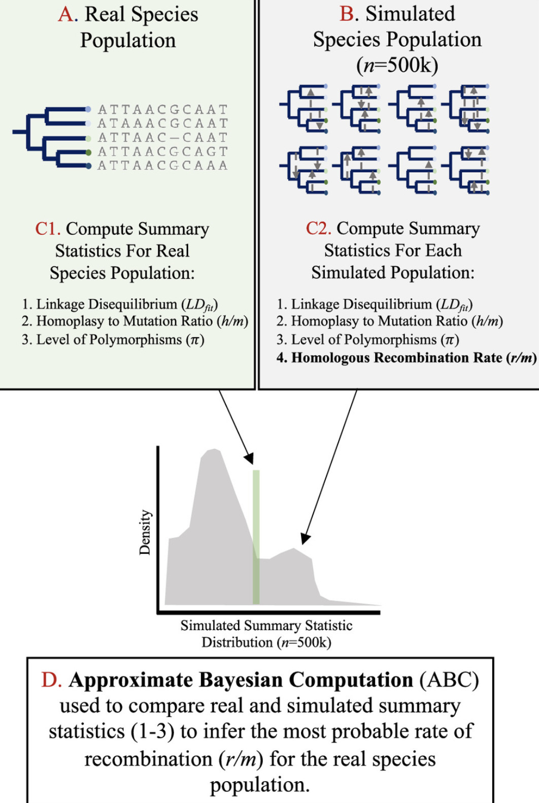 Evolution of homologous recombination rates acr...