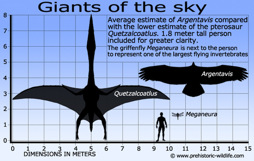 Giants Of The Sky Argentavis Amazing Science 