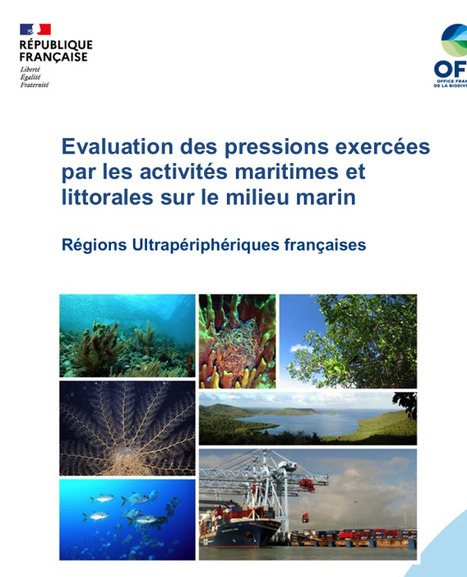 Pressions en outre-mer : &eacute;valuation des activit&eacute;s maritimes - IFRECOR.FR | Biodiversit&eacute; | Scoop.it