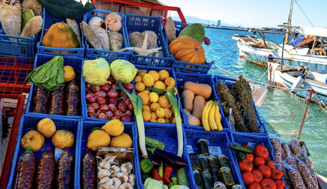 MED DIET plus efficace dans la prévention de l'obésité que les autres régimes, selon une étude | CIHEAM Press Review | Scoop.it