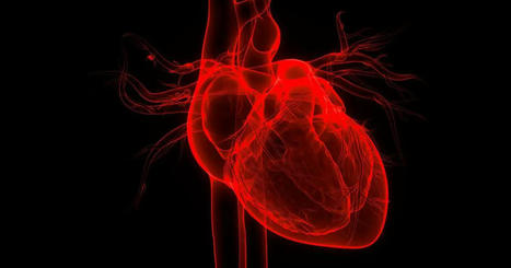 CAM for the Management of Heart Failure | Escepticismo y pensamiento crítico | Scoop.it