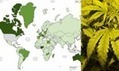 Where is the world's marijuana? | Beckley News : Cannabis - Marijuana | Scoop.it