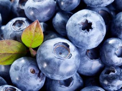 Rappel de fruits surgel&eacute;s Picard pour risque microbiologique | Gestion des risques alimentaires | Scoop.it