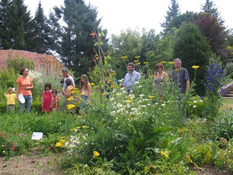 Animation tout public "Grâce aux insectes nous pouvons croquer les plantes sauvages comestibles" à Nedde - Haute-Vienne | GREENEYES | Scoop.it
