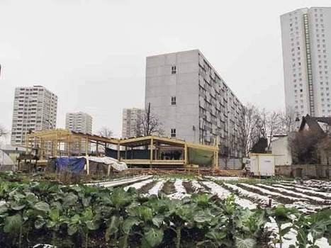 Urban RESILIENCE in a time of change - Colombes | Paris durable | Scoop.it