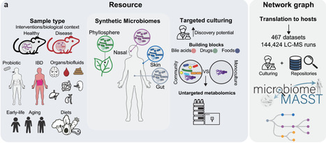 A searchable metadata network graph for microbiome metabolomics | brvsys | RMH | Scoop.it