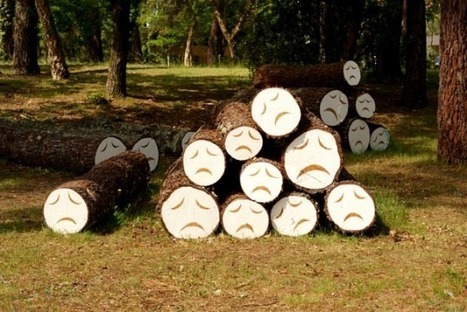 Art with trees | 1001 Gardens | 1001 Gardens ideas ! | Scoop.it