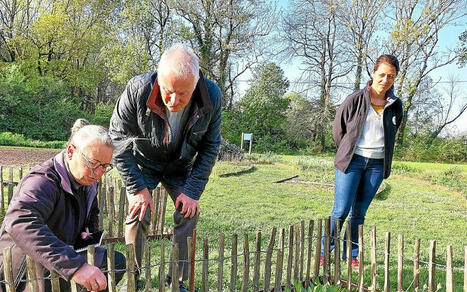 Grâce au pollinarium sentinelle de Vannes, les personnes allergiques ont un coup d’avance | Les Colocs du jardin | Scoop.it