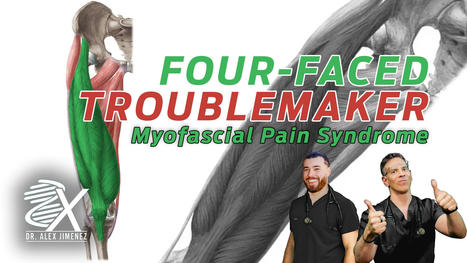 Myofascial Pain Syndrome Affecting The Quadriceps Femoris | Call: 915-850-0900 | Mobility & Flexibility - Joint Movement | Scoop.it