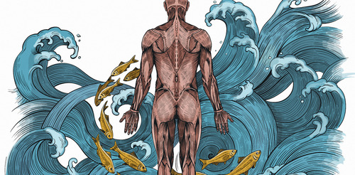 Sorry! Image not available at this time