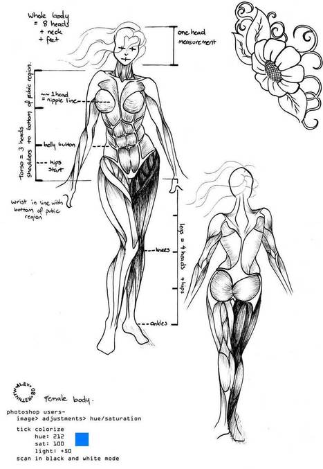 female body reference by ~wynnter89 on deviantART | Drawing References and Resources | Scoop.it