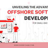 Offshore/Nearshore Software Development