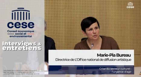 Crise du secteur culturel : l'urgence d'agir, le CESE a adopté sa résolution | Veille juridique du CDG13 | Scoop.it