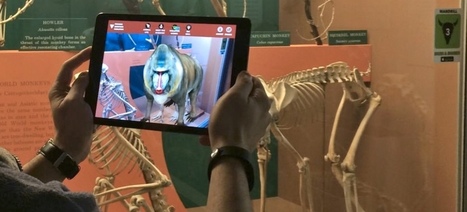 L'excellente application du Smithsonian Museum fait renaître les fossiles ! | Culture scientifique et technique | Scoop.it