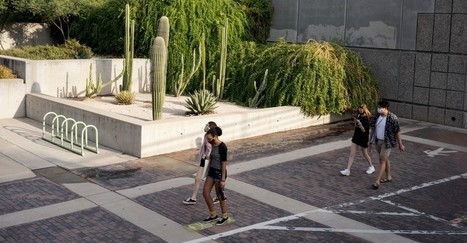 Inside the Fight to Reopen the University of Arizona | Educational Leadership | Scoop.it