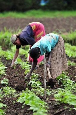 RDC : 620 millions d'euros de l'UE pour santé, agriculture ... | Questions de développement ... | Scoop.it