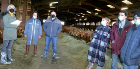 Contractualisation en viande bovine, les &eacute;leveurs ont leur destin en main | Actualit&eacute; B&eacute;tail | Scoop.it