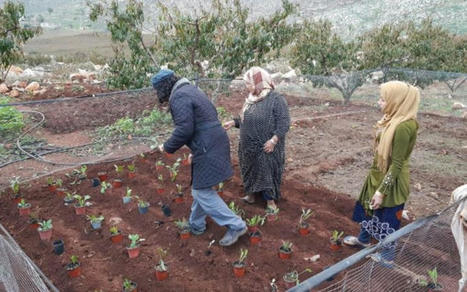 Amel et ses partenaires s’engagent pour une agriculture durable | CIHEAM Press Review | Scoop.it