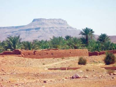 Algérie : plus de 50 millions d’hectares menacés | CIHEAM Press Review | Scoop.it