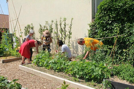 Val-d'Oise : dans ce jardin école, on apprend à cultiver sans pesticides | Environnement, paysage et biodiversité | Scoop.it