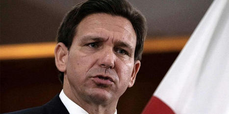 Florida Senate OKs bill to shield Gov. DeSantis’ travel and visitor records from public: report - RawStory.com | Backstabber Watch | Scoop.it