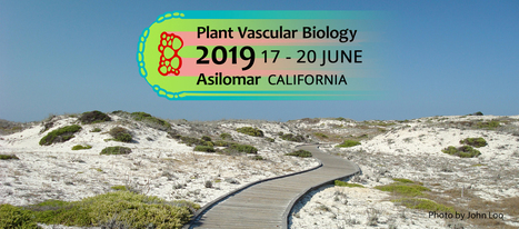 pvb2019.org – Plant Vascular Biology Conference 2019, Asilomar, California (USA), 17-20 June | Plant Conferences | Scoop.it