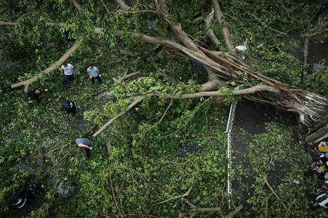 Trail of destruction traces back to fossil fuels - Chinadaily.com.cn | Operation Deimos | Scoop.it