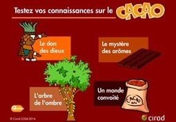 Tout savoir sur le cacao | Ressources d'apprentissage gratuites | Scoop.it
