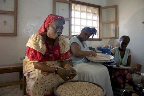 How Women Agribusinesses are Boosting Nutrition in Africa | Inter Press Service | CIHEAM Press Review | Scoop.it