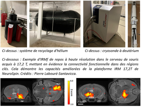 FOCUS PLATEFORME : NeuroSpin r&eacute;nove sa plateforme IRM pr&eacute;clinique 17,2 T : un &eacute;quipement unique sur le territoire Paris-Saclay ! | Life Sciences Universit&eacute; Paris-Saclay | Scoop.it