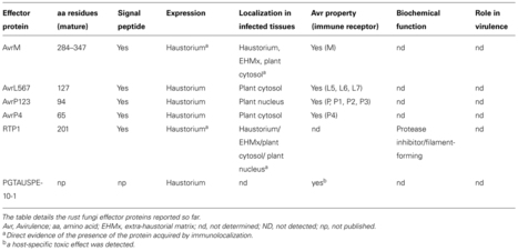 Frontiers: Effector proteins of rust fungi (2014) | Publications from The Sainsbury Laboratory | Scoop.it