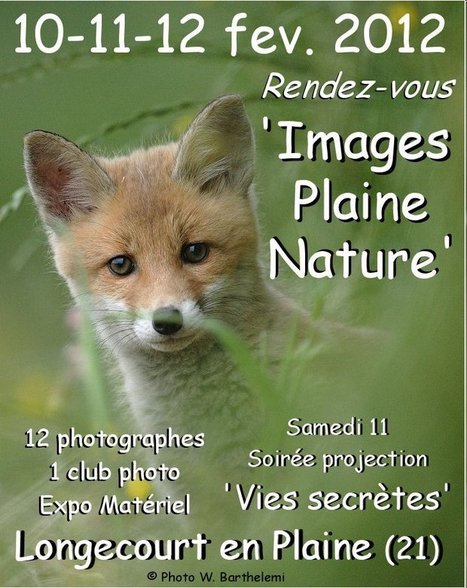 Images Plaine Nature 2012 | Variétés entomologiques | Scoop.it