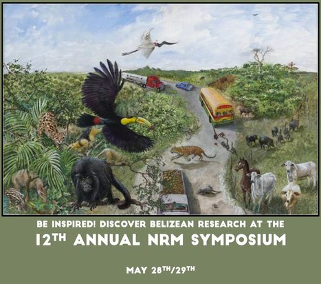 12th NRM Symposium | Cayo Scoop!  The Ecology of Cayo Culture | Scoop.it