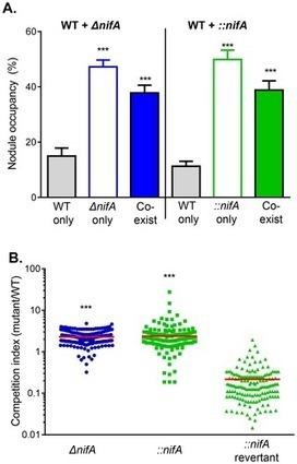Applying Reversible Mutations of Nodulation and Nitrogen-Fixation Genes to Study Social Cheating in Rhizobium etli-Legume Interaction | Plant-Microbe Symbiosis | Scoop.it