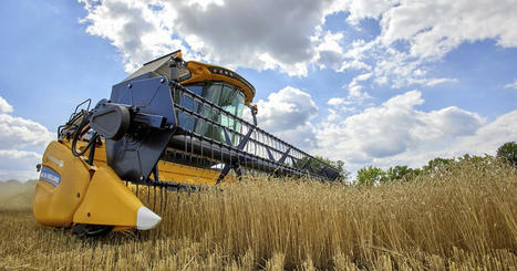 La crise alimentaire mondiale remet les cultures d'OGM sur le devant de la scène | Les Colocs du jardin | Scoop.it
