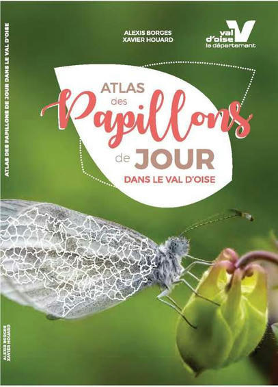 Ressources & Publications du Val d’Oise : Atlas des papillons de jour du département | Insect Archive | Scoop.it