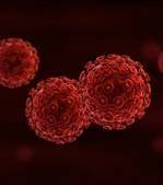 VIH : d&eacute;couverte d&rsquo;une prot&eacute;ine capable de bloquer l&rsquo;infection | Microbiologie | Scoop.it