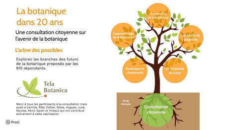 « La botanique dans 20 ans » : naviguez dans l’arbre des possibles | Biodiversité | Scoop.it