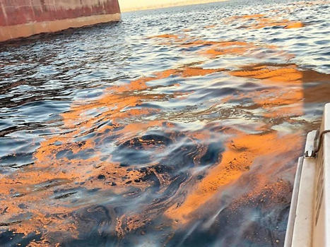 Oil spill in Algoa Bay under investigation by SAMSA - Getaway.co.za | Agents of Behemoth | Scoop.it
