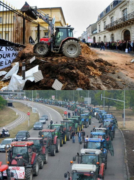 FRANCE : L’AGRICULTURE EN GRANDE DÉTRESSE | Koter Info - La Gazette de LLN-WSL-UCL | Scoop.it